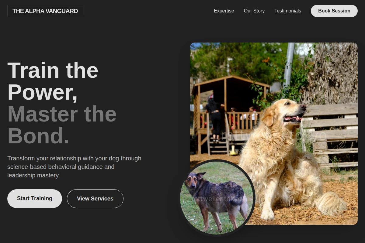 Steady Dog Behavior