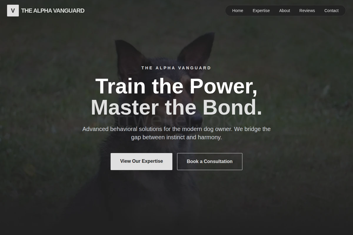 dog-behavior