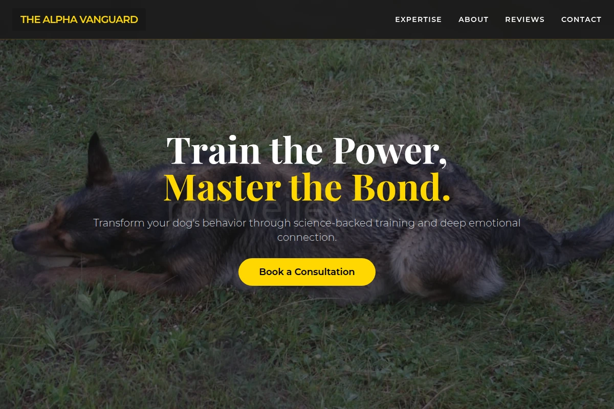 Bold Dog Behavior