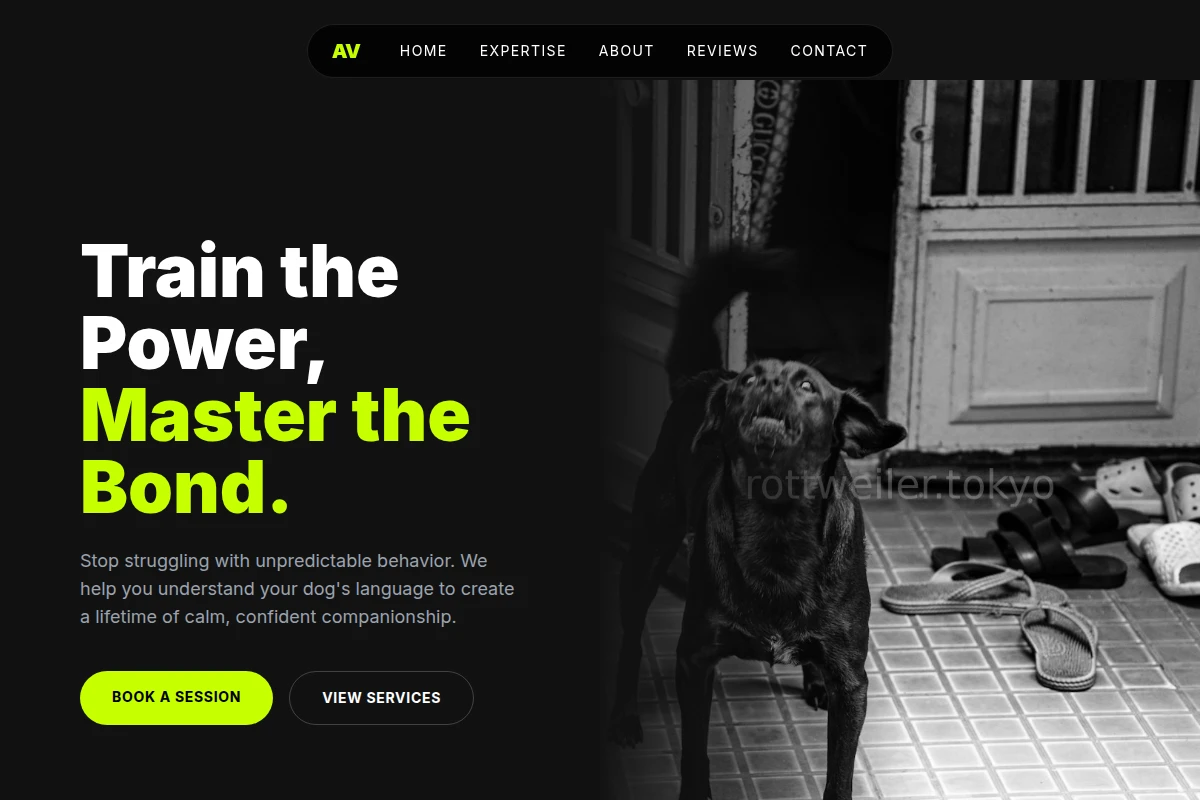 Core Dog Behavior