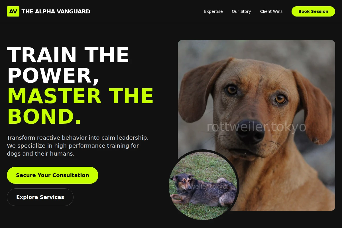 Elite Dog Behavior
