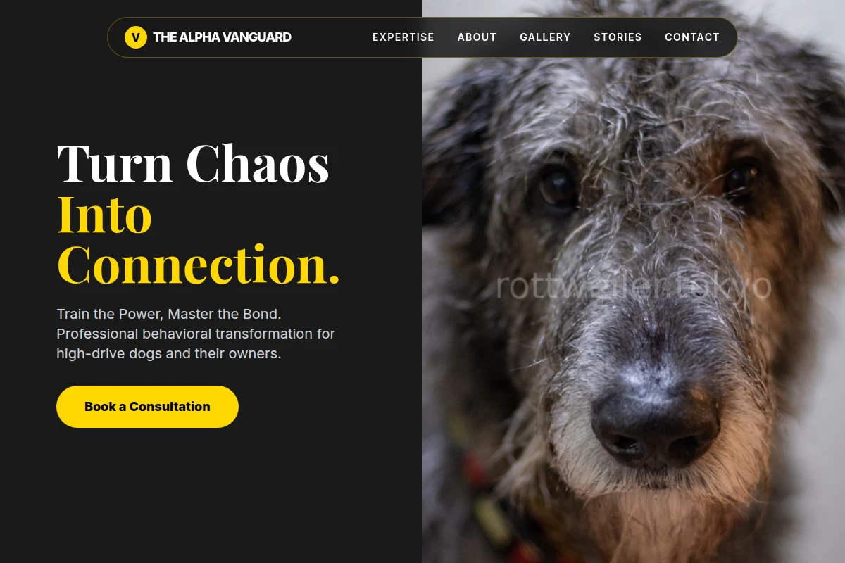 Firm Dog Behavior