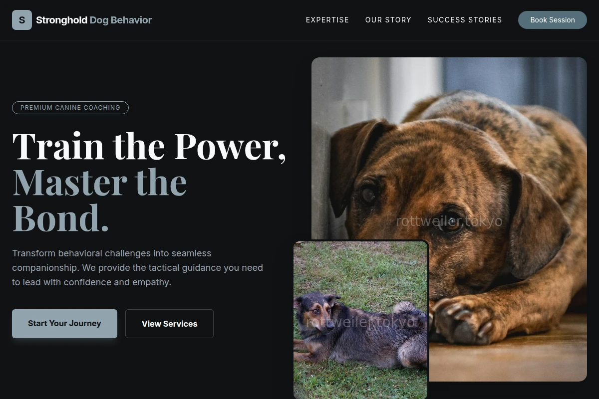 dog-behavior