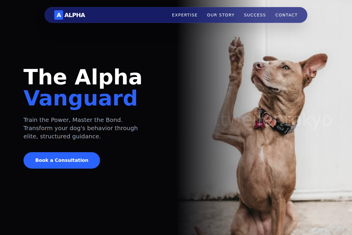 Apex Dog Training