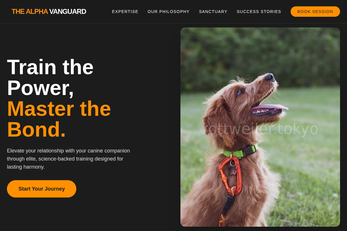 dog-training
