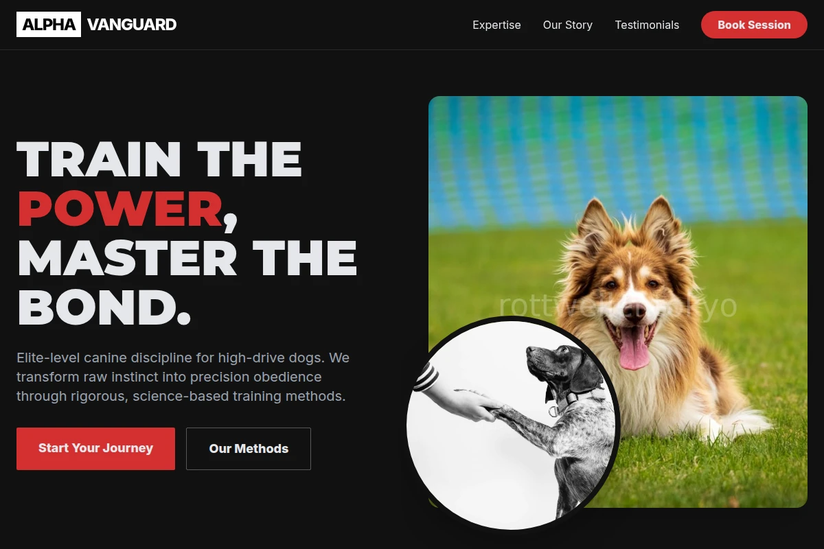 Rigorous Dog Training
