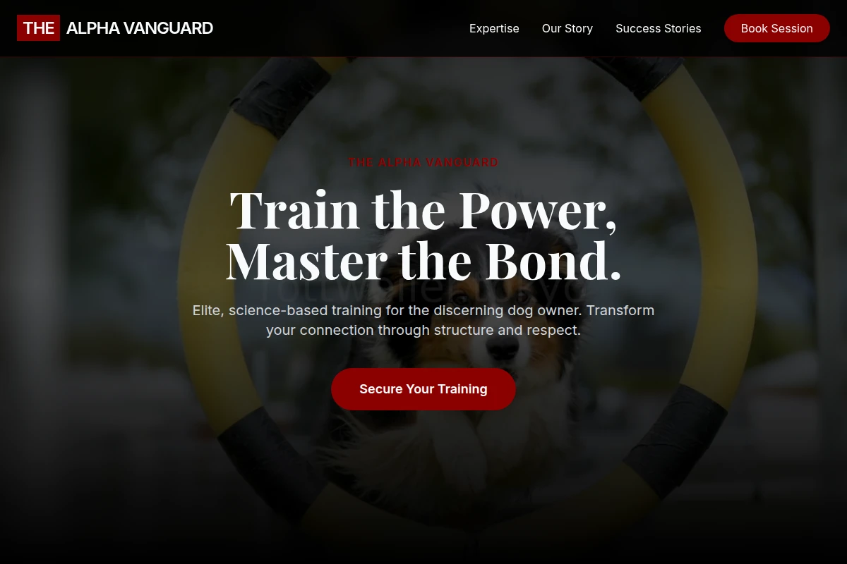Steady Dog Training