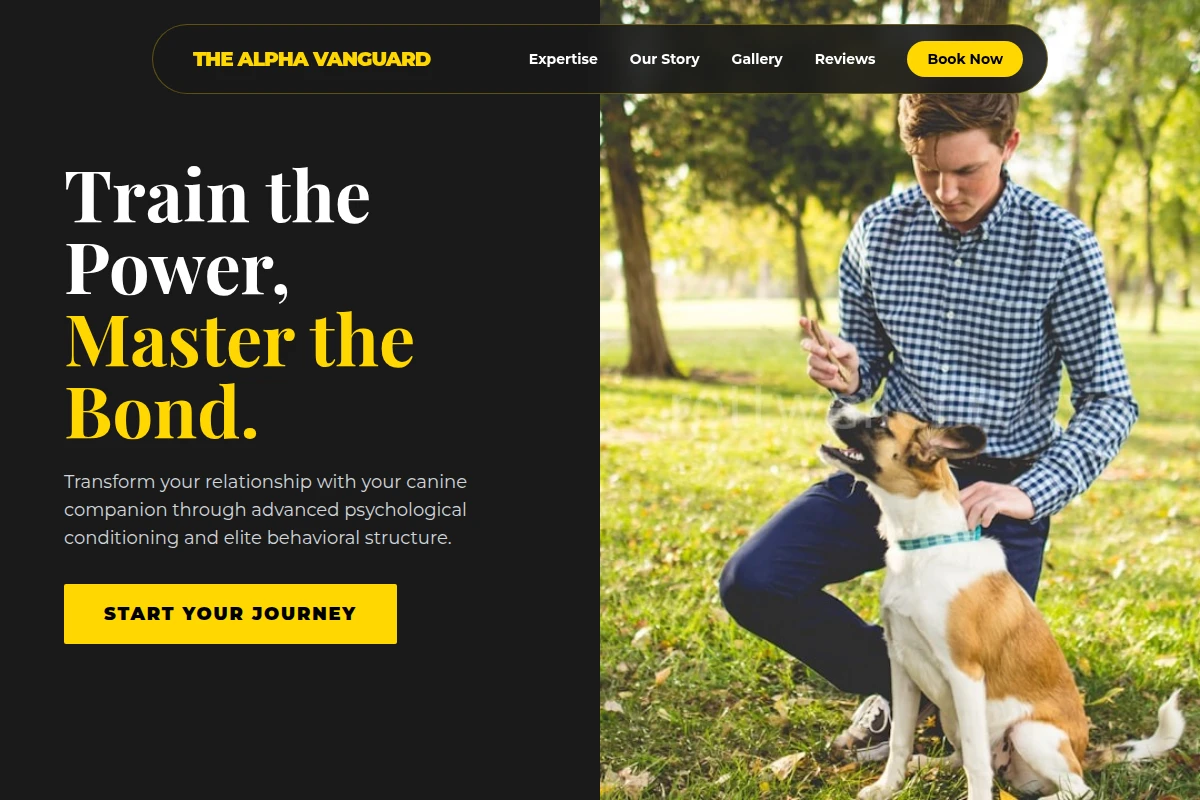 Focus Dog Training
