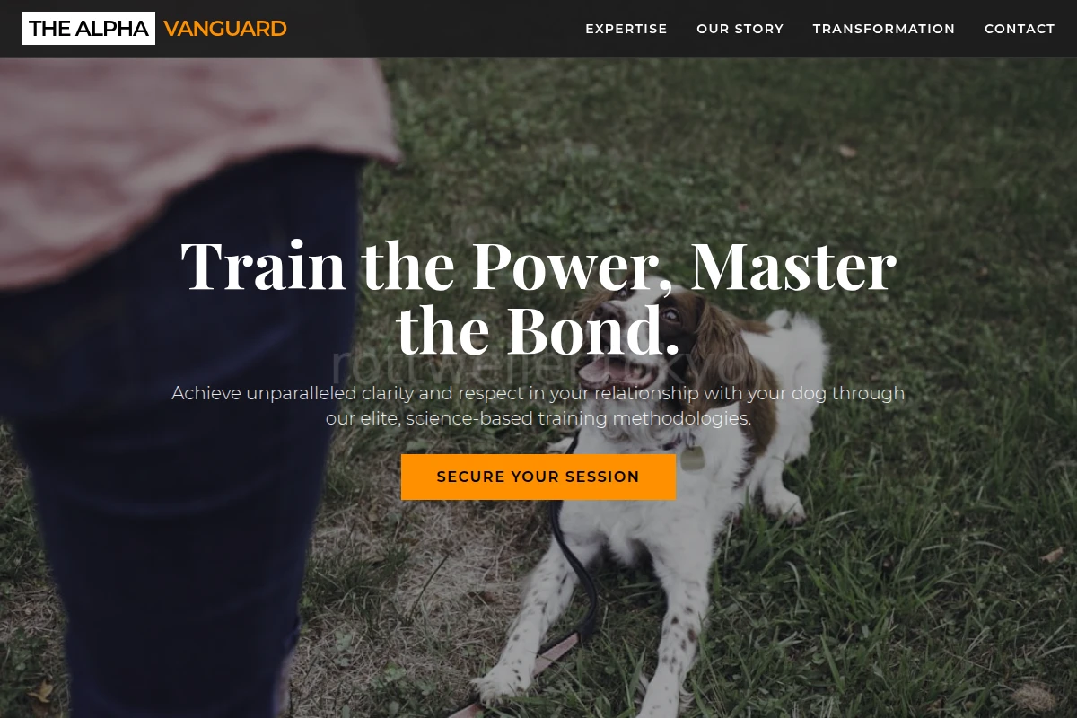 dog-training