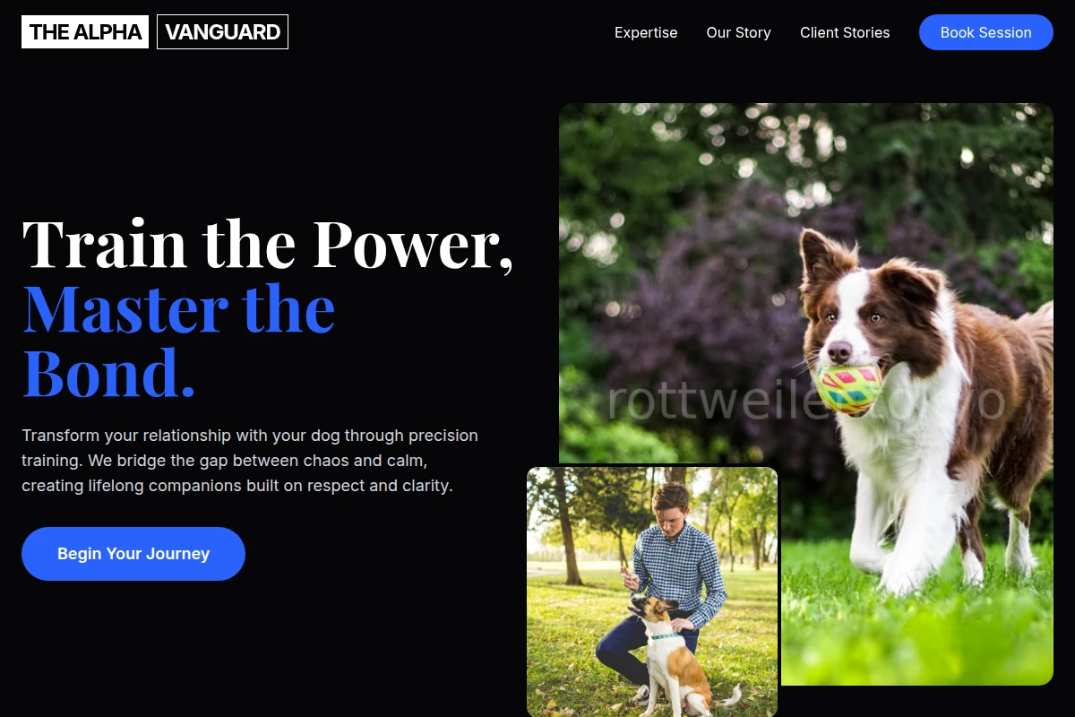 Precision Dog Training