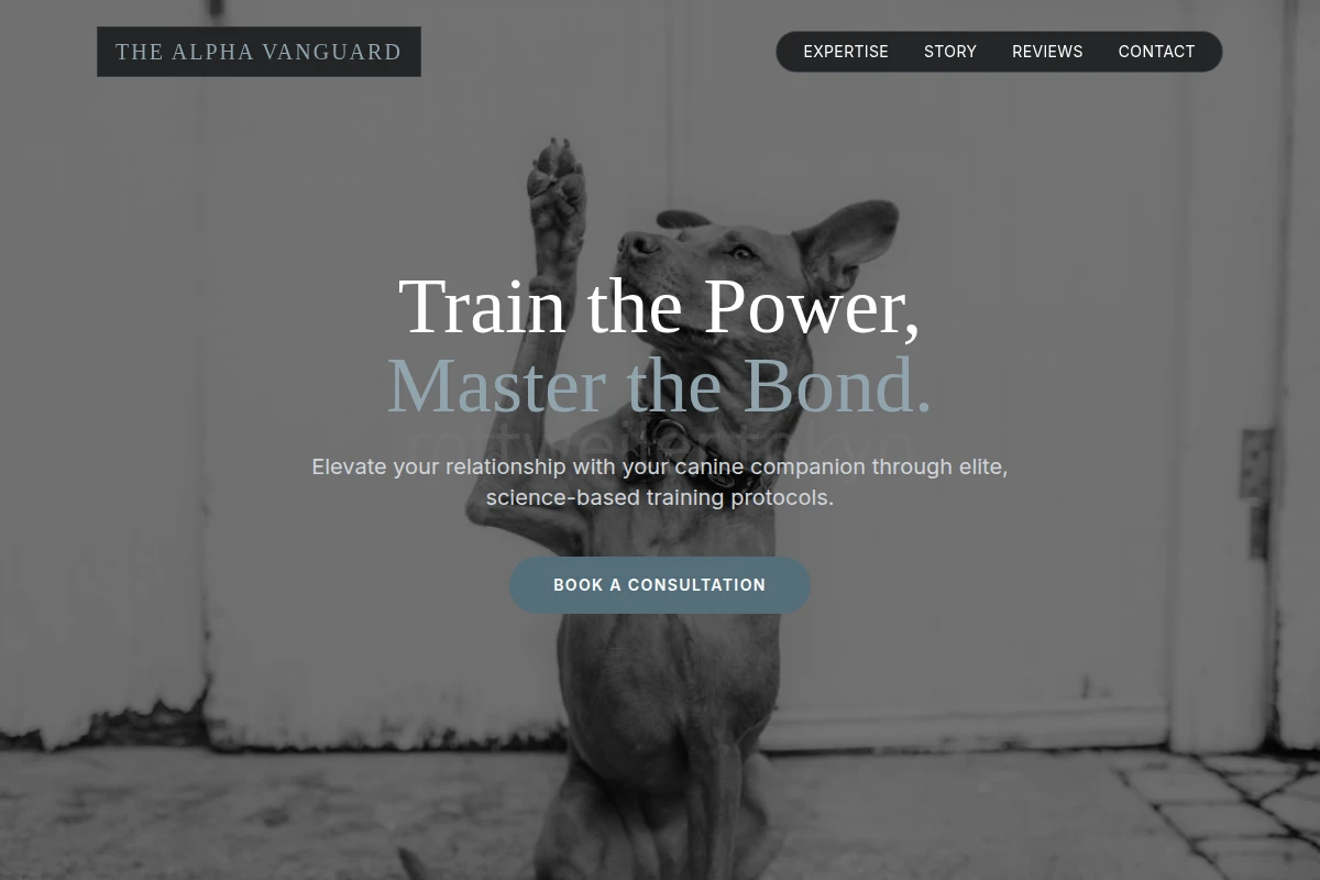 Steady Dog Training