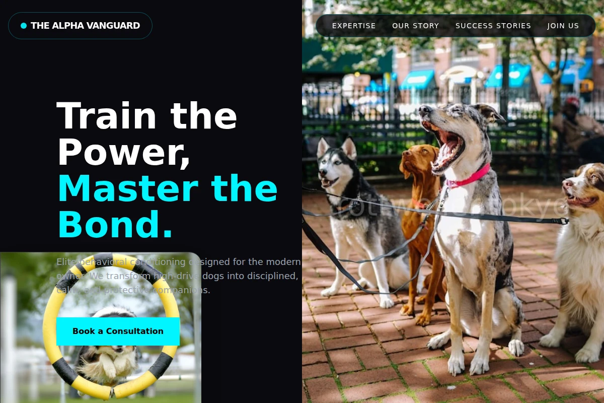 Protector Dog Training