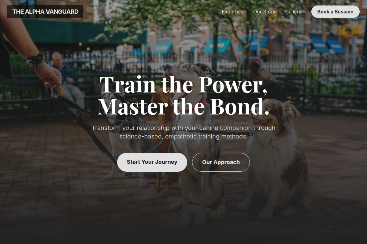Focus Dog Training