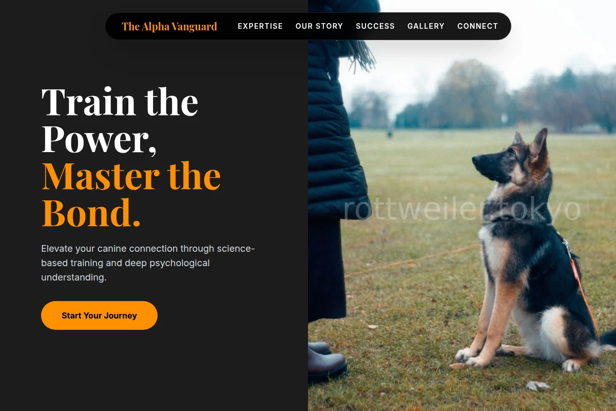 Socialite Dog Training