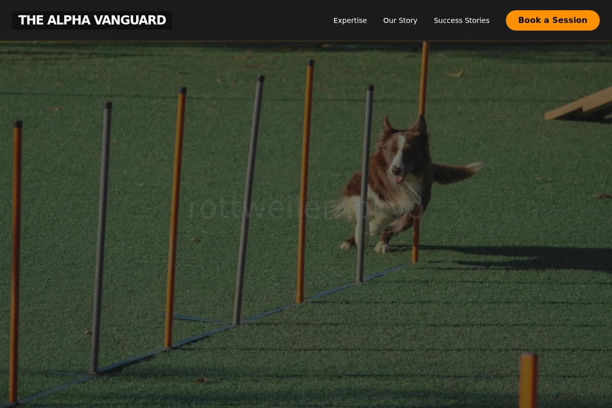 Bond Dog Training