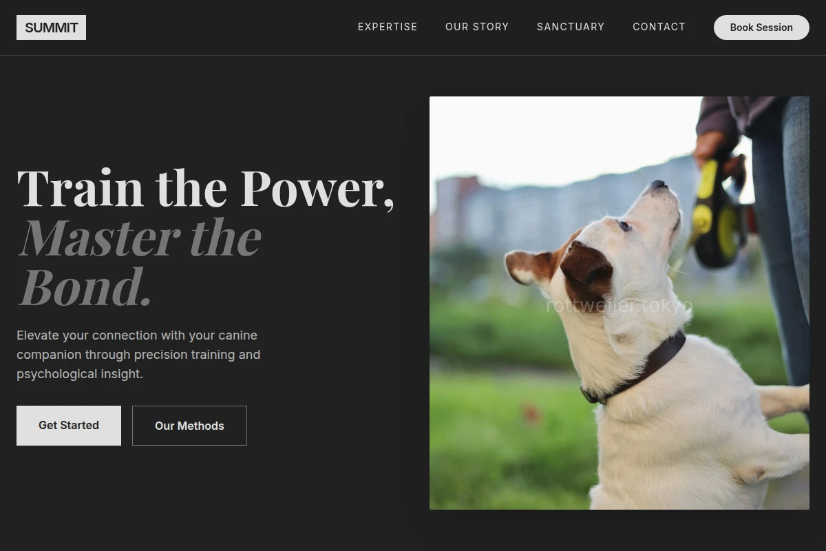 Summit Dog Training