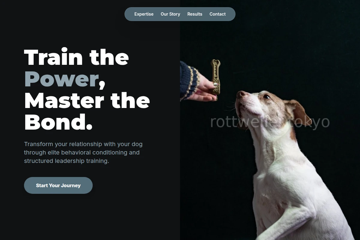 Structure Dog Training