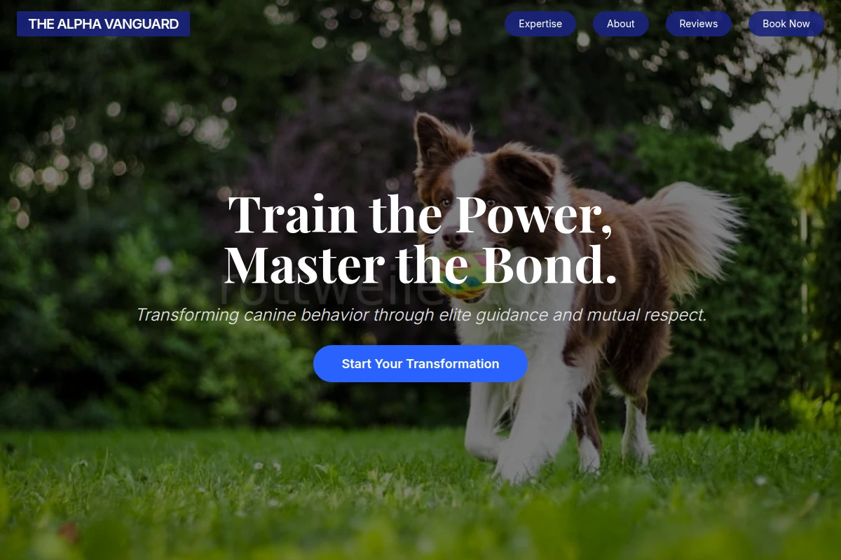 Anchor Dog Training