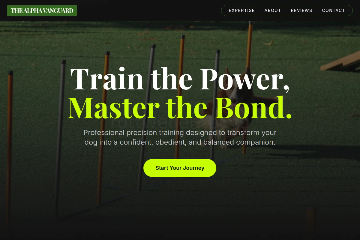 Precision Dog Training