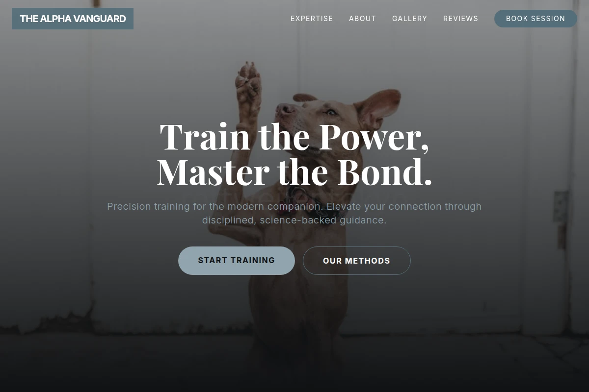 Focus Dog Training