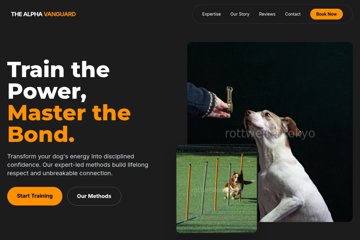 Instinct Dog Training