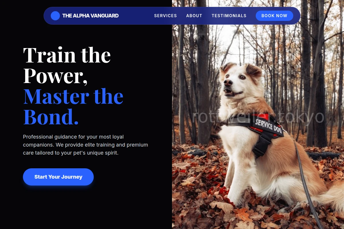 Steady Pet Services